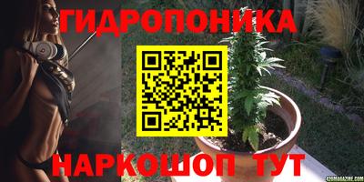 гашик Ливны