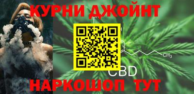 гашик Ливны