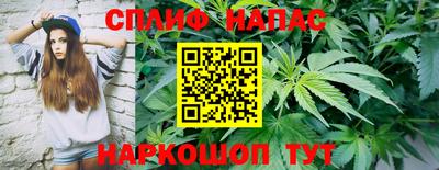 гашик Ливны