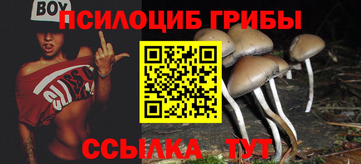 Звенигород  Галлюциногенные грибы Psilocybe  Вход с VPN  Галлюциногенные грибы Psilocybine cubensis 